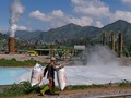 Jokowi Modali Geo Dipa Rp700 M Kembangkan Panas Bumi Dieng
