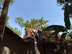 Imbas Angin Kencang, Pohon Tumbang Timpa Truk-Rumah Warga di Sleman
