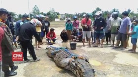VIDEO: Buang Air di Sungai, Pria Tewas Diterkam Buaya