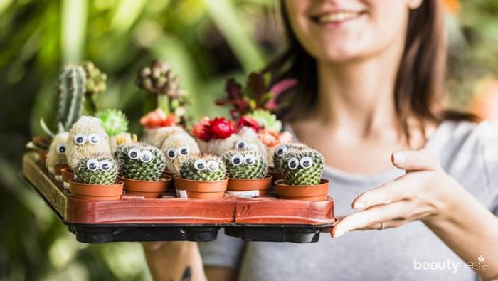 Tangkal Penyakit, Ini 7 Manfaat Meletakkan Kaktus di Dalam Ruangan