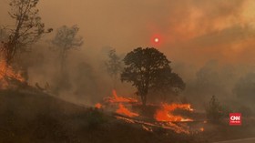 VIDEO: Kebakaran Berlanjut California, Ratusan Hektare Hangus