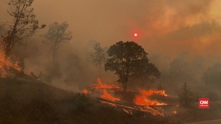 VIDEO: Kebakaran Berlanjut California, Ratusan Hektare Hangus
