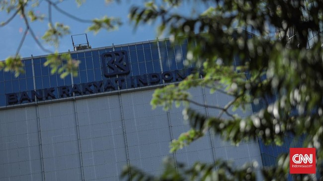 Direktur Utama BRI Sunarso menyebut pembentukan holding BUMN Ultra Mikro dilakukan dengan beberapa pertimbangan. Berikut rinciannya.