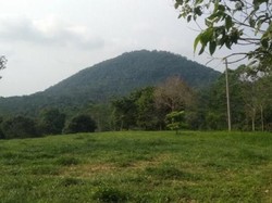 Tren Gowes Selama Pandemi, Berkah buat Tempat Wisata Ini