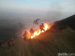 Gunung Penanggungan di Mojokerto Terbakar