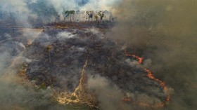 FOTO: Kebakaran Hutan Amazon Tak Kunjung Padam