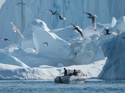 Gawat! Greenland Makin Hijau, Ancaman Besar Mengintai