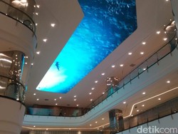 Usai Ada Kerumunan-Jadi Viral, LED Akuarium Raksasa Tentrem Mall Dimatikan