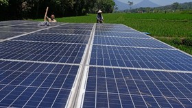 PLN Bakal Investasi Hijau Rp7.125 T, Kejar Target Netral Karbon 2060