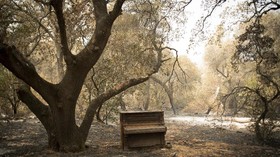 FOTO: Jejak Kehancuran Kebakaran Hutan California