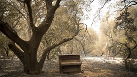 FOTO: Jejak Kehancuran Kebakaran Hutan California