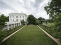 Taman Gedung Putih Baru Dipugar Melania Trump Dibongkar Lagi