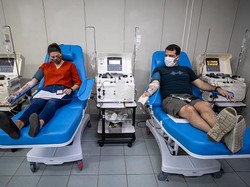 Selain Terapi Plasma Konvalesen, Ada Juga Terapi Plasmapheresis