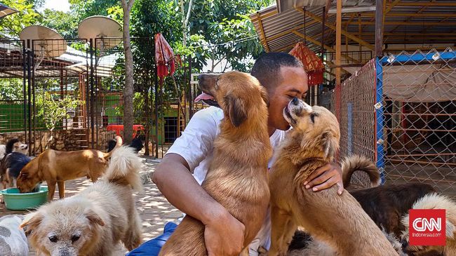 Bak sudah jatuh tertimpa tangga, pandemi Covid-19 bukan saja membuat hidup Christian kian sulit, tapi juga shelter penampungan anjing yang dikelolanya.
