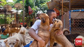 Kisah Sang Penyelamat Anjing yang Terseok Karena Pandemi