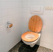 Bahaya Mengalasi Dudukan Toilet dengan Tisu