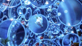 FOTO: Memanjakan Mata-Telinga di Pameran Art Aquarium Tokyo