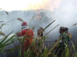 Lahan Tidur Dekat Tol Palindra Terbakar, BPBD Sumsel: Terjadi Tiap Tahun