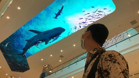Dicap Langgar Protokol Covid-19, Mall Tentrem Tuai Pujian