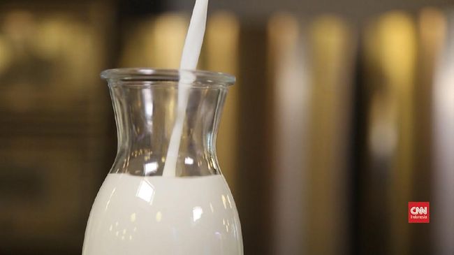 Dokter membeberkan kandungan gizi dalam susu beruang. Apa saja?