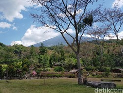 Panorama Alam Cibuntu, Salah Satu Desa Wisata Terbaik di Indonesia