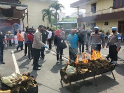 Musnahkan Barang Bukti, Polisi Bakar 358 Kg Ganja di Medan