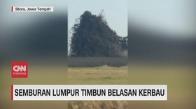 VIDEO: Semburan Lumpur di Blora Timbun Belasan Kerbau