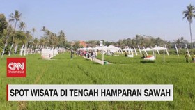 VIDEO: Spot Wisata di Tengah Hamparan Sawah