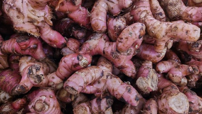 Badan Karantina Pertanian (Barantan) Kementerian Pertanian mencatat Indonesia telah mengimpor 24,4 ribu ton jahe pada 2020 dan 2021.