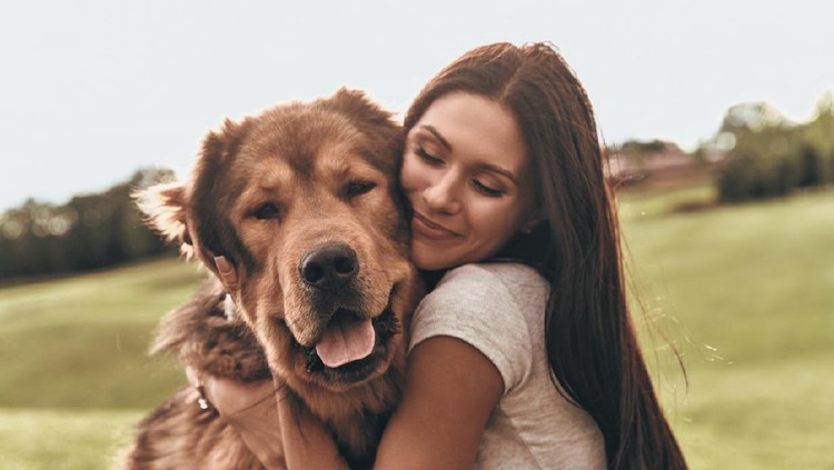 Ilustrasi memeluk anjing Woman cuddles, plays with her dog at home because of the corona virus pandemic covid-19