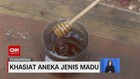 VIDEO: Khasiat Aneka Jenis Madu
