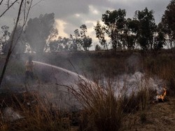 Hamas dan Israel Sepakat Setop Saling Serang di Perbatasan Gaza