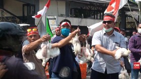 VIDEO: Harga Ayam Anjlok, Peternak Bagi-Bagi Ayam Hidup