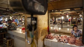 Petani-Peternak Bisa Terimbas Rencana Impor Pakan dari Brasil