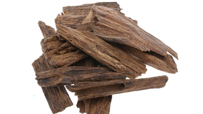 Selama ribuan tahun, agarwood atau yang dikenal sebagai gaharu dikenal sebagai kayu para dewa. Kayu ini bahkan dihargai Rp1,5 miliar per kilo-nya.