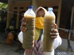 Limbah Semen Proyek Kereta Cepat Cemari 182 Hektare Sawah di Bandung Barat