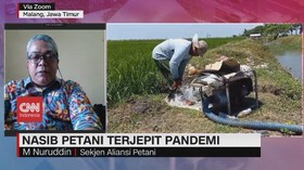 VIDEO: Dampak Besar Pandemi Pada Petani