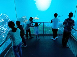 Tempat Wisata Keluarga Ini Tawarkan Promo Menarik di Hari Biasa