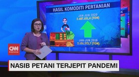 VIDEO: Nasib Petani Terjepit Pandemi