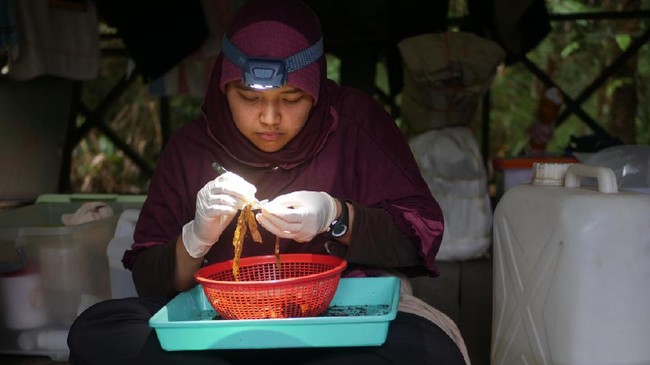Peneliti muda dari LIPI Ayu Savitri Nurinsiyah menceritakan kisahnya hingga berhasil menjadi Ikon Prestasi Pancasila tahun 2020 BPIP.