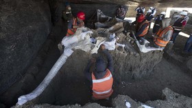 FOTO: 200 Fosil Mammoth di Meksiko, Temuan Terbesar Abad Ini
