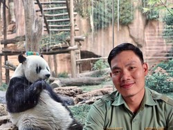 Tonton IG Live detikTravel bareng Perawat Panda Sore Ini Ya!