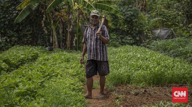 FOTO : Tekanan Petani di Tengah Pandemi Covid-19