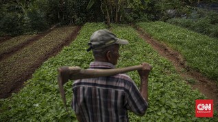 Menabur Benih Persahabatan Petani dan Dunia Digital
