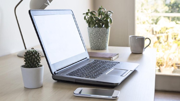 Tanaman hias Laptop on a desk with cellphone, mug, plants, journal and lamp