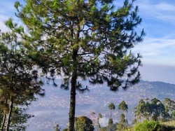 Wisata Gunung Putri, Keindahan bak Negeri di Atas Awan
