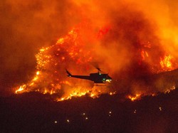 Detik-detik Ratusan Orang Dievakuasi dari Kebakaran Hutan California
