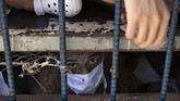 FOTO: Gengster El Salvador di Antara Politik dan Covid-19 Anggota geng berjubel di dalam penjara El Salvador di tengah pandemi Covid-19. Mereka juga diduga dilobi untuk kepentingan politik