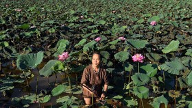 FOTO: Kisah Penenun Sutra Teratai Vietnam yang Mendunia