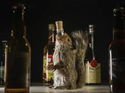 Museum Ini Sajikan Minuman dari Toilet Penjara hingga Kotoran Anak